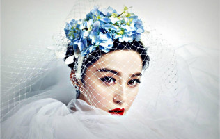 Fan Bing Bing photo #