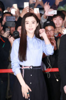 Fan Bing Bing photo #