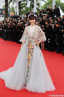 Fan Bing Bing photo #