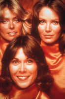 photo 20 in Farrah Fawcett gallery [id337046] 2011-02-04