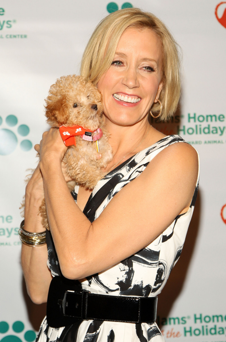 Felicity Huffman: pic #194811