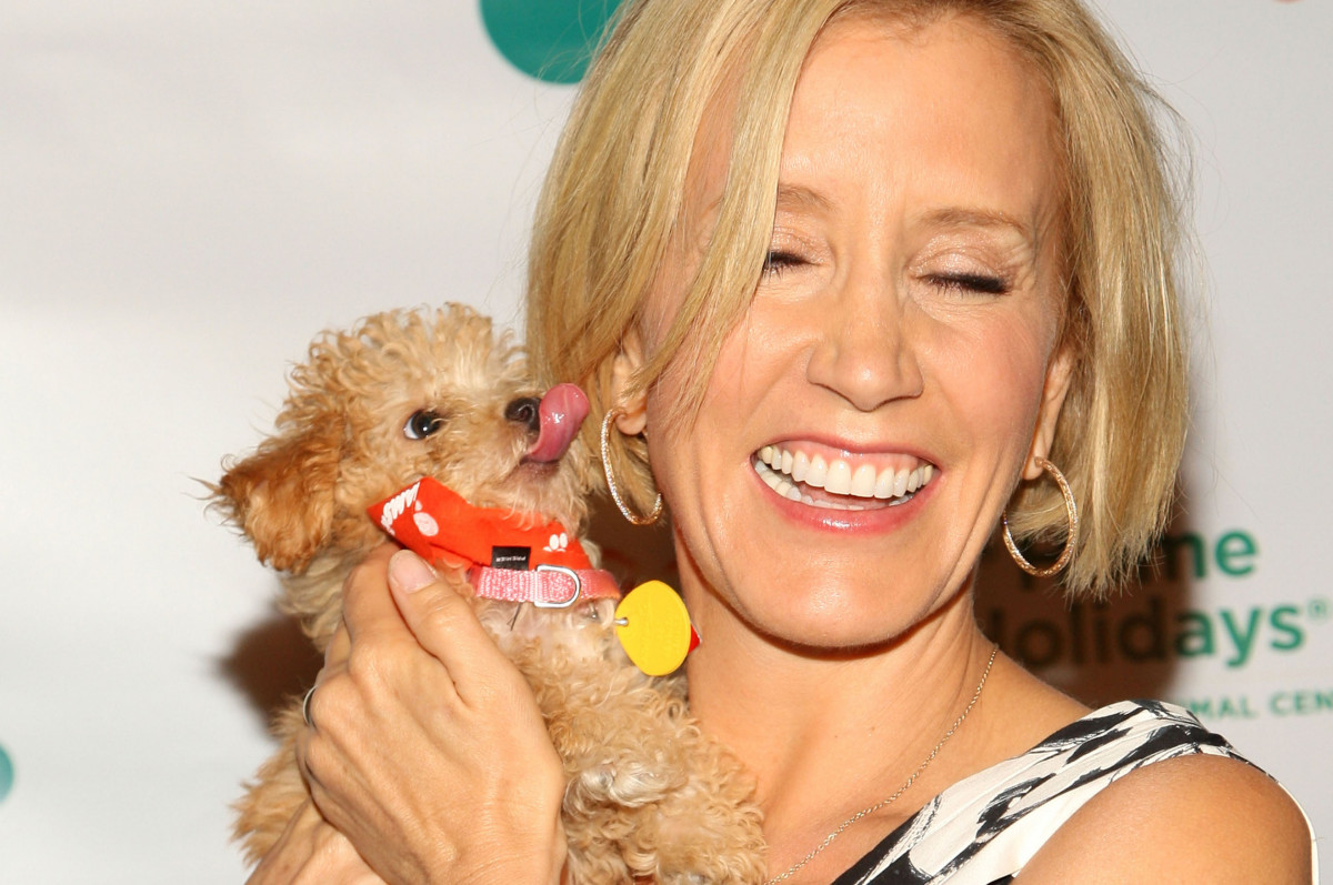 Felicity Huffman: pic #263921