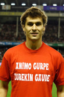 Fernando Llorente photo #