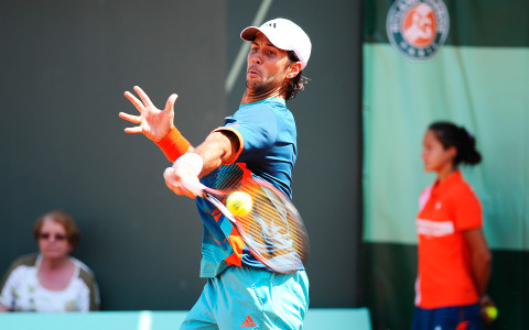 Fernando Verdasco pic #494589