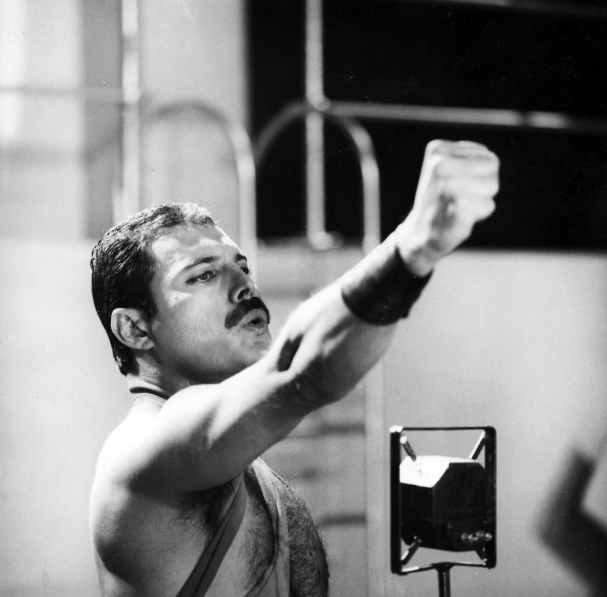 Freddie Mercury: pic #710527
