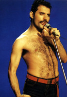 photo 3 in Freddie Mercury gallery [id697783] 2014-05-14