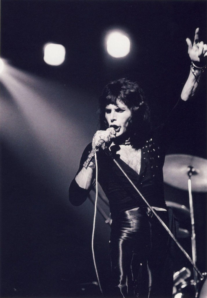 Freddie Mercury: pic #694748