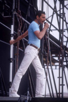 photo 23 in Freddie Mercury gallery [id716467] 2014-07-11