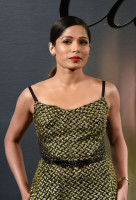 Freida Pinto photo #