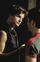 Gale Harold photo #