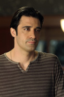 Gilles Marini photo #