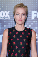 photo 18 in Gillian Anderson gallery [id938148] 2017-05-29
