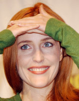 Gillian Anderson photo #