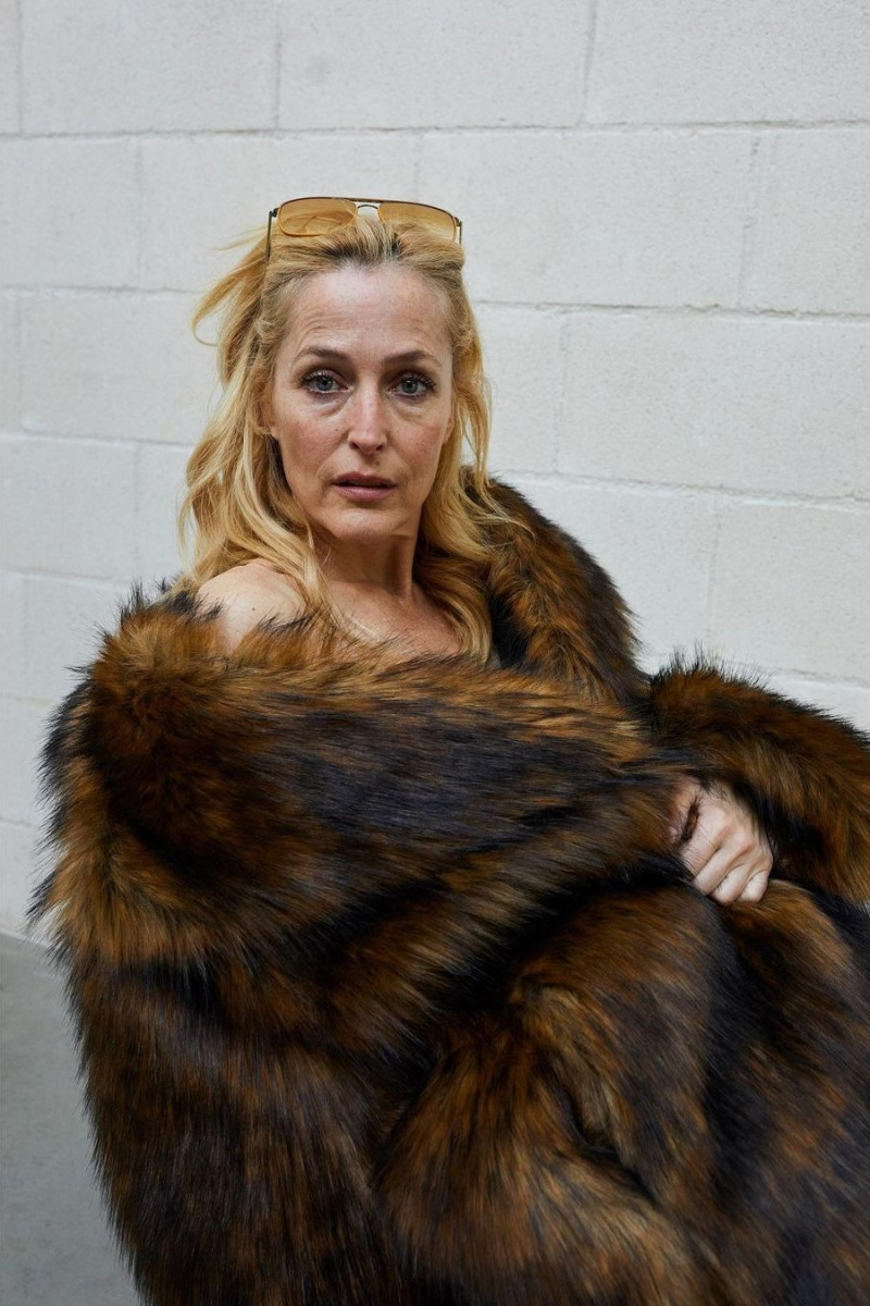 Gillian Anderson: pic #1257881