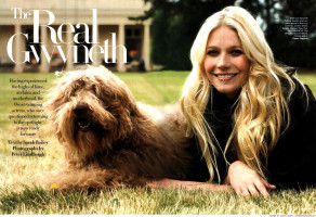 Gwynet Paltrow photo #