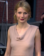 photo 3 in Paltrow gallery [id19114] 0000-00-00