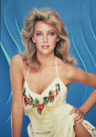 Heather Locklear photo #