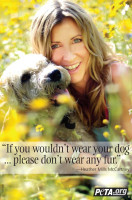 photo 4 in Heather Mills gallery [id274233] 2010-07-30