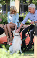 photo 4 in Holly Willoughby gallery [id1127117] 2019-04-29