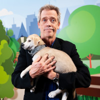 Hugh Laurie photo #