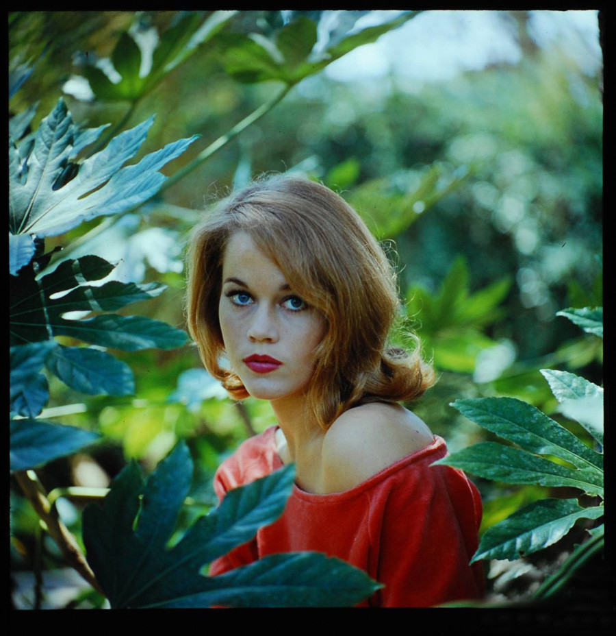 Jane Fonda: pic #137412