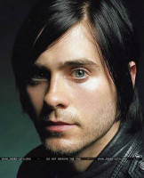 photo 8 in Jared gallery [id71584] 0000-00-00