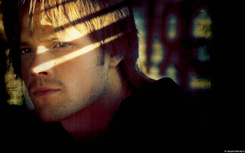 Jared Padalecki pic #128306