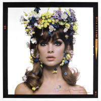 Jean Shrimpton photo #