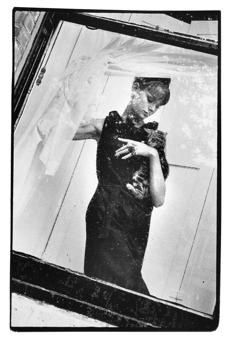 Jean Shrimpton photo 65 of 89 pics, wallpaper - photo #381306 - ThePlace2