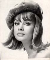 Jean Shrimpton photo #