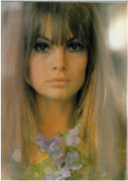 Jean Shrimpton photo #