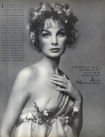 photo 4 in Shrimpton gallery [id1333283] 2023-09-08