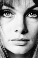 Jean Shrimpton photo #