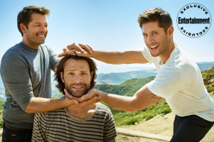 photo 10 in Jensen gallery [id1211938] 2020-04-16