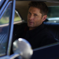 photo 4 in Ackles gallery [id1232685] 2020-09-16