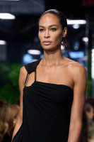 Joan Smalls photo #