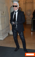 Karl Lagerfeld photo #