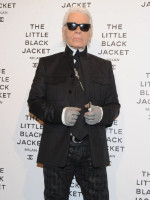 Karl Lagerfeld photo #