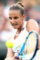 Karolina Pliskova photo #