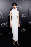 photo 12 in Katherine Waterston gallery [id958050] 2017-08-25