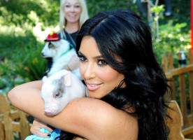 Kim Kardashian photo #