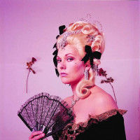 Kim Novak photo #