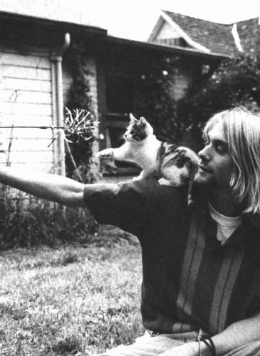 Kurt Cobain: pic #36416