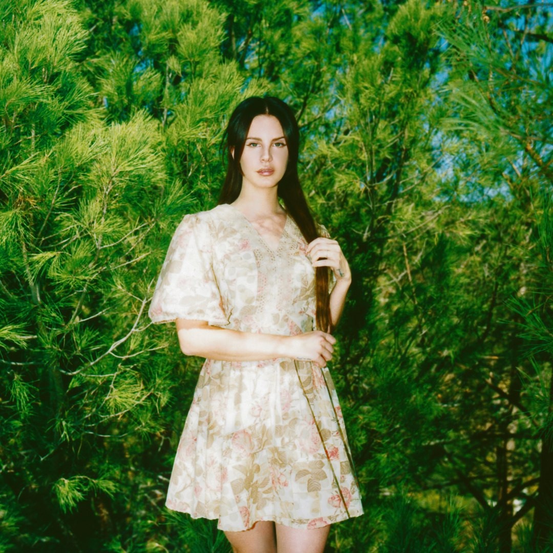 Lana Del Rey: pic #952169