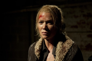 Laurie Holden photo #