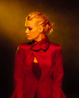 Laurie Holden photo #