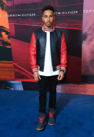 Lewis Hamilton photo #