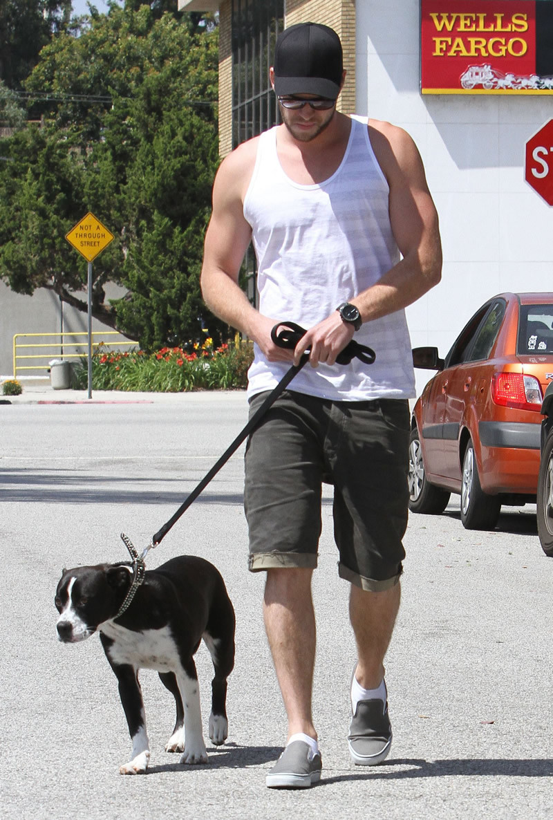 Liam Hemsworth: pic #507863