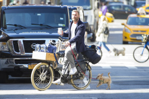 Liev Schreiber photo #