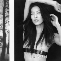 Liu Wen pic #330680